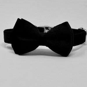 Dog Collar + Bow |  M | Velvet | Luxe | Black | New
